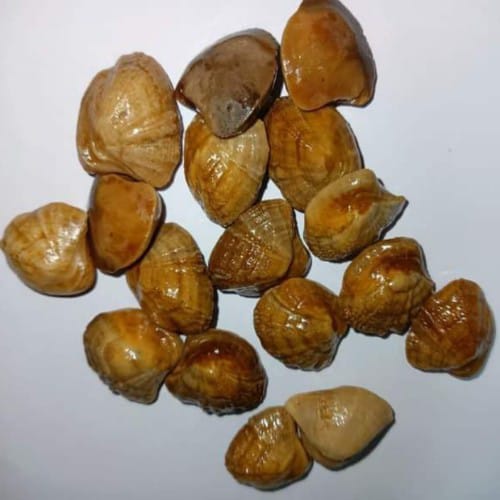 Original Machmani Stone - Image 2