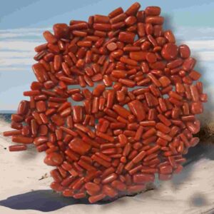 Red Coral Stone