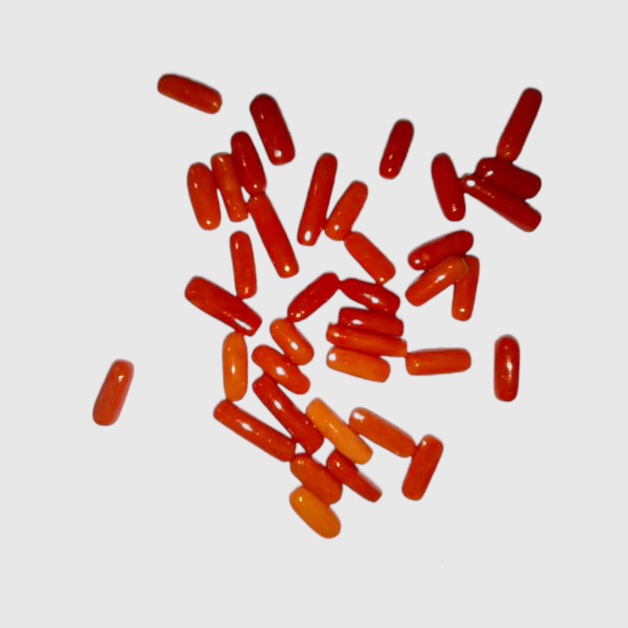 Red Coral Stone - Image 4